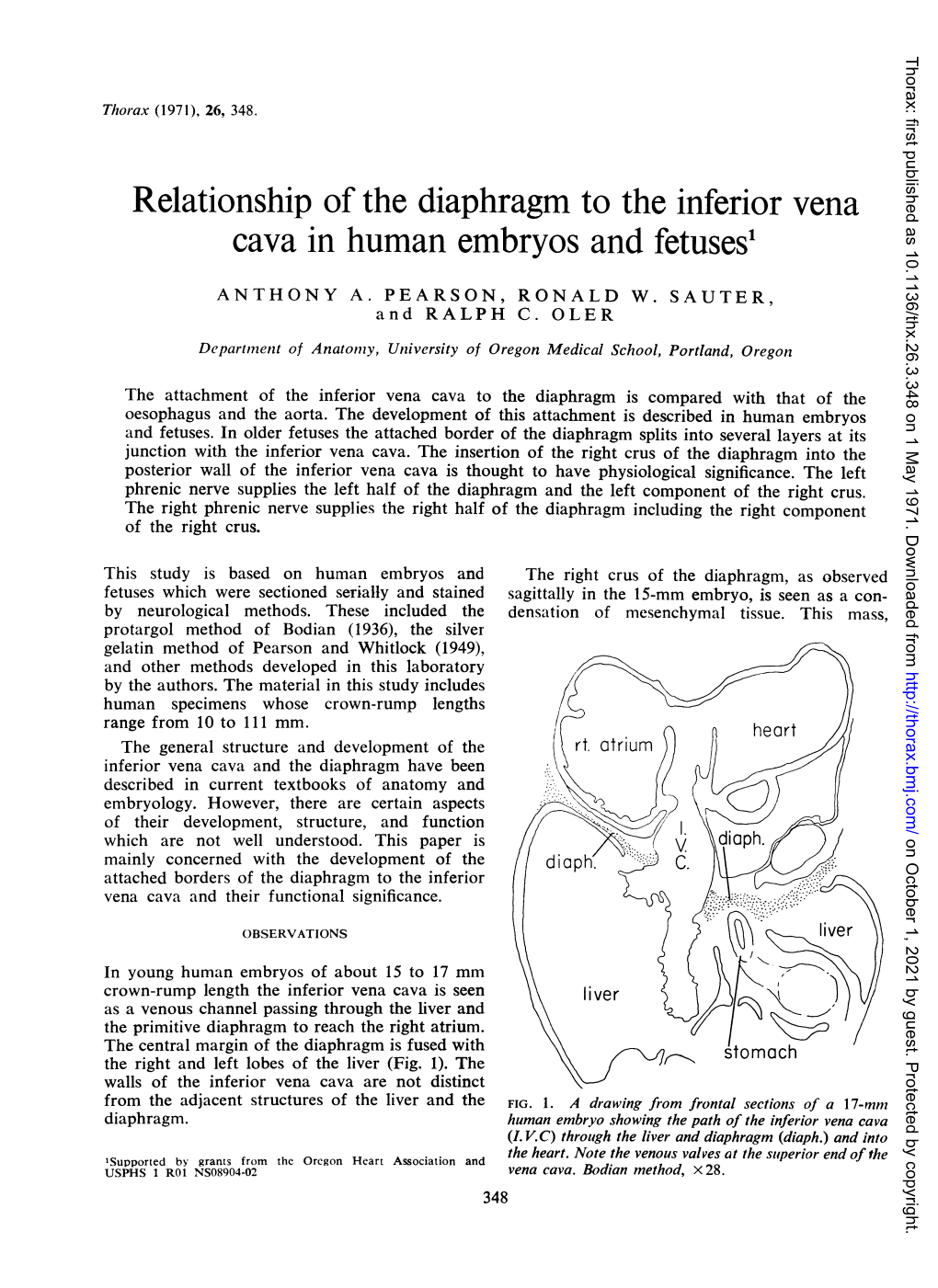 Relationship of the Diaphragm to the Inferior Vena Cava in Human Embryos and Fetuses'