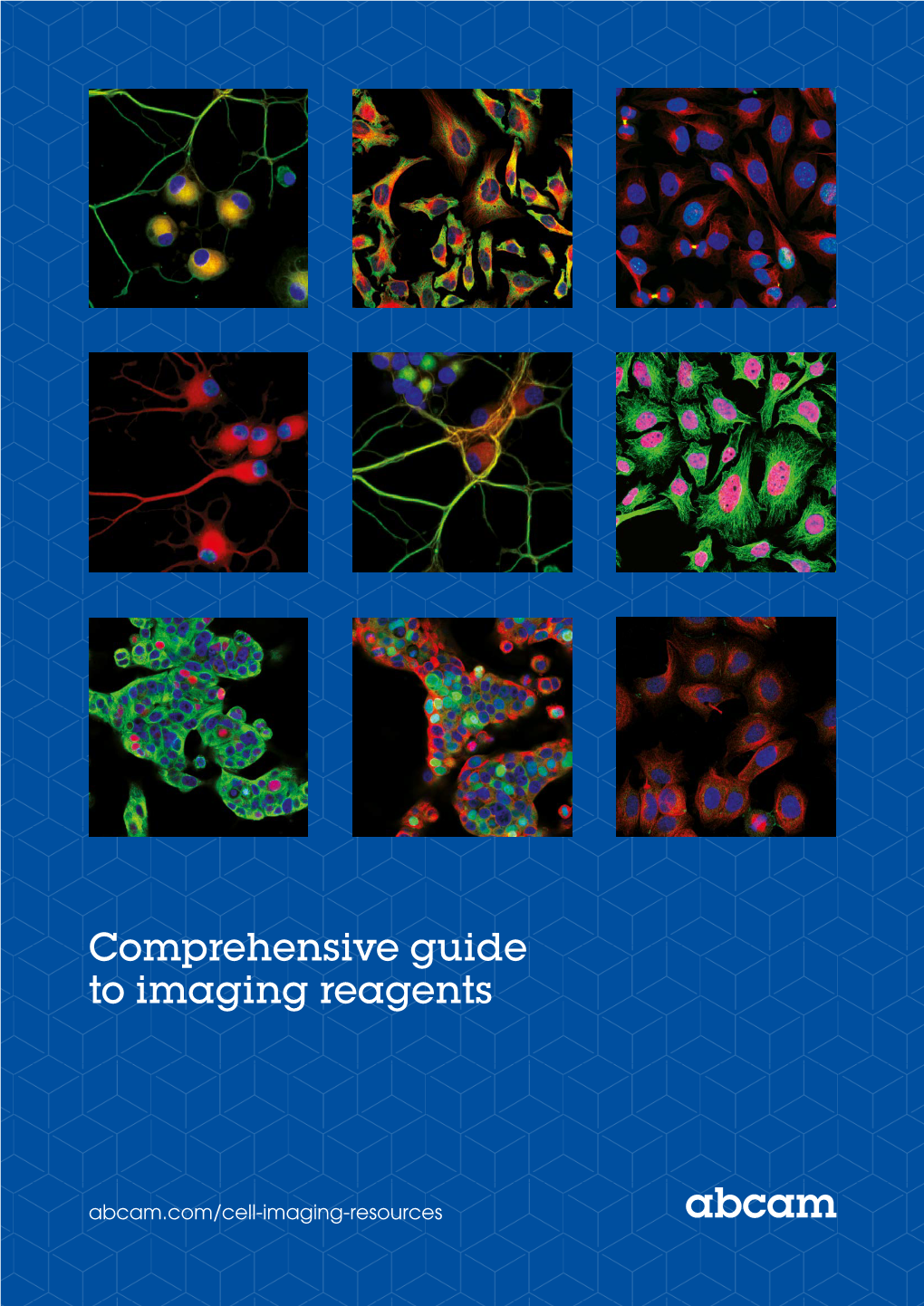 Comprehensive Guide to Imaging Reagents