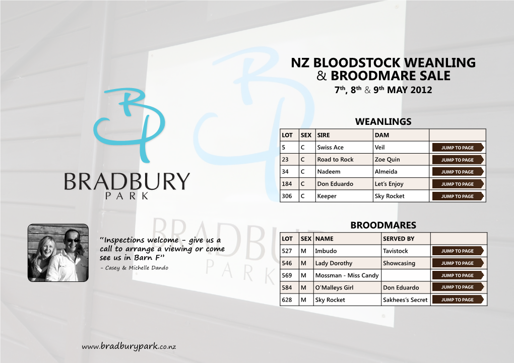 NZ Bloodstock Weanling & BROODMARE SALE