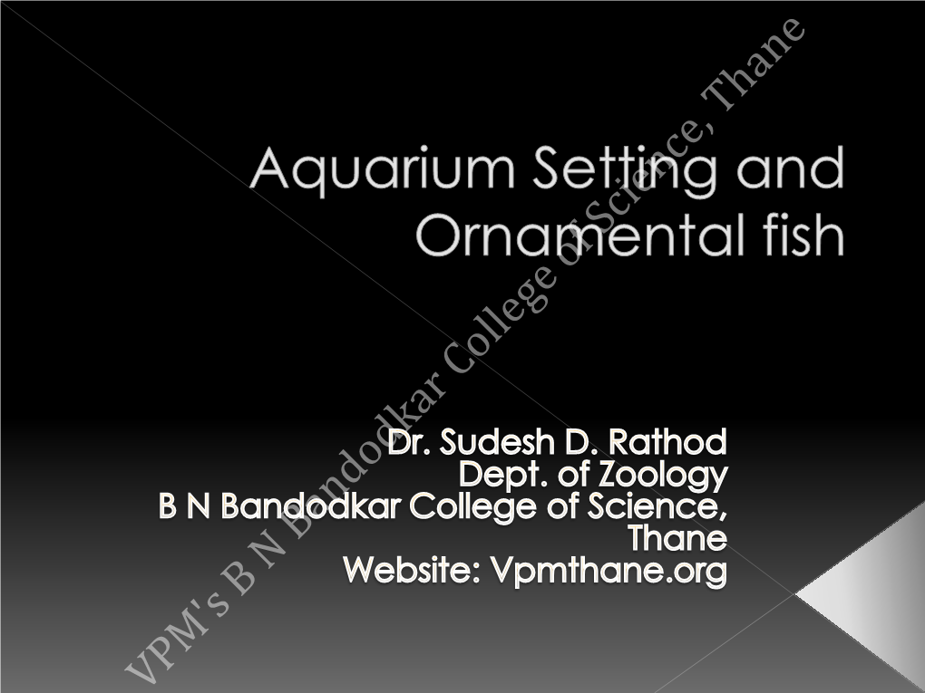 Aquarium Setting and Ornamental Fish