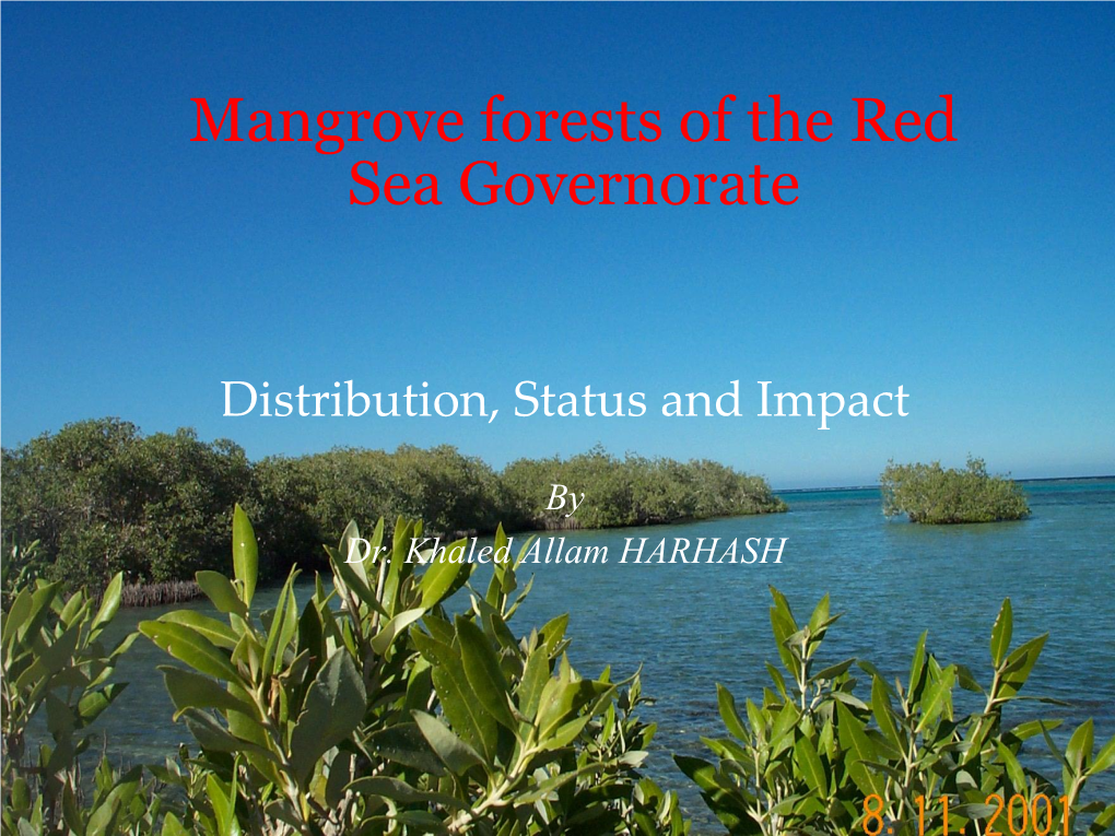 Mangrove Forest of the Red Sea Governorate