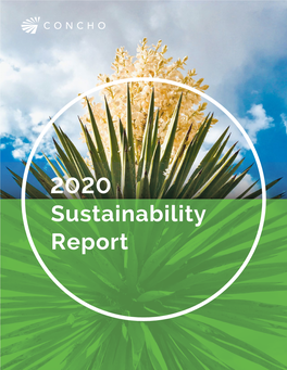 2020 Sustainability Report FOREWORD GOVERNANCE ENVIRONMENTAL SUSTAINABILITY SOCIAL IMPACT APPENDIX