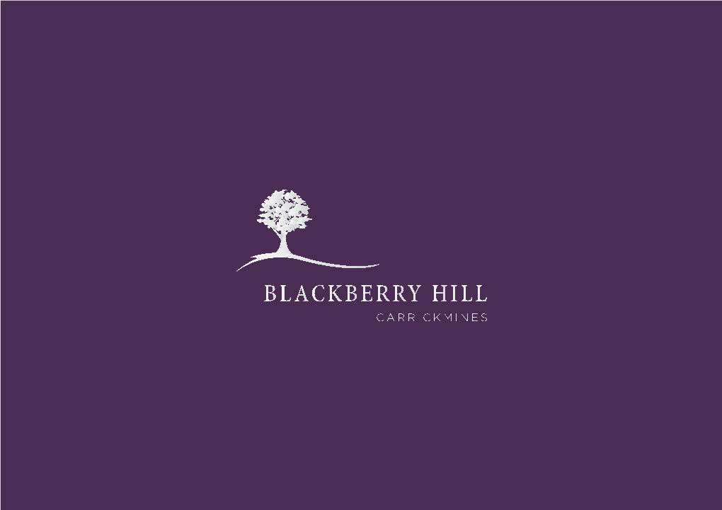 Blackberry Hill Is an Exclusive Development of 43 Large “A-Rated” Semi-Detached and Detached Houses Set in Spacious Landscaped Grounds