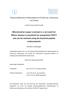 Mitochondrial Copper Overload in a Rat Model for Wilson Disease Is Paralleled by Upregulated COX17 and Can Be Restored Using the Bacterial Peptide Methanobactin