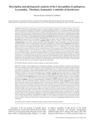 Description and Phylogenetic Analysis of the Calycopidina (Lepidoptera, Lycaenidae, Theclinae, Eumaeini): a Subtribe of Detritivores