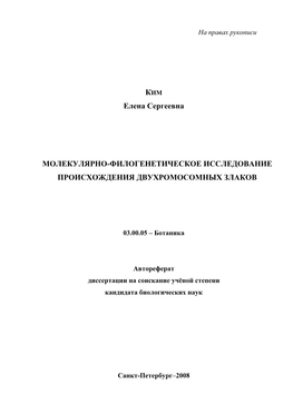 Kim Abstract Thesis.Pdf