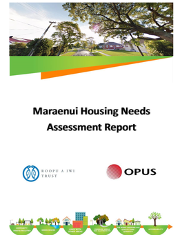 Maraenui Housing Needs Assessment Report