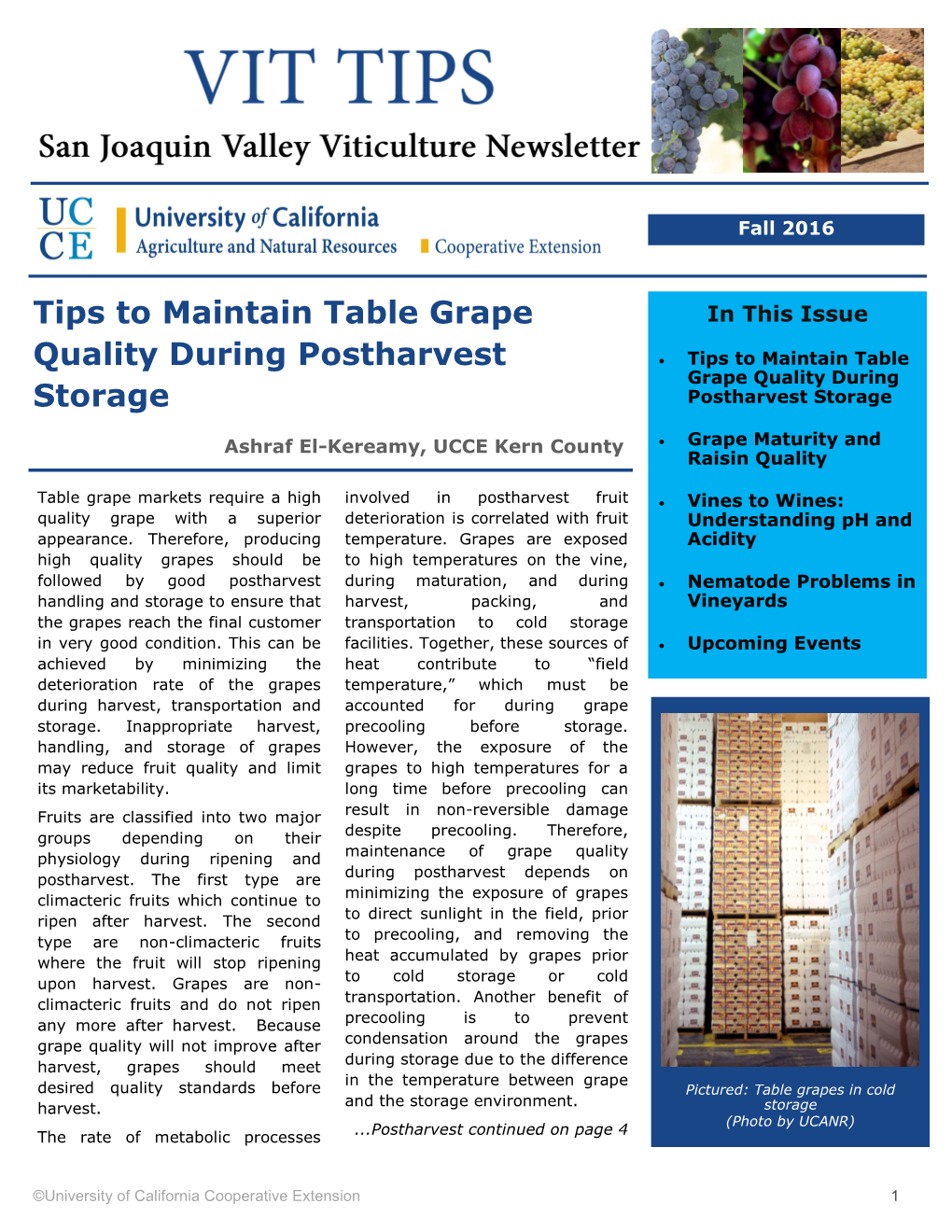 Tips to Maintain Table Grape Quality During Postharvest Storage