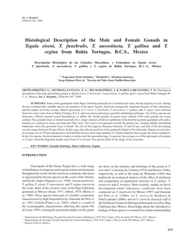 Histological Description of the Male and Female Gonads in Tegula Eiseni, T