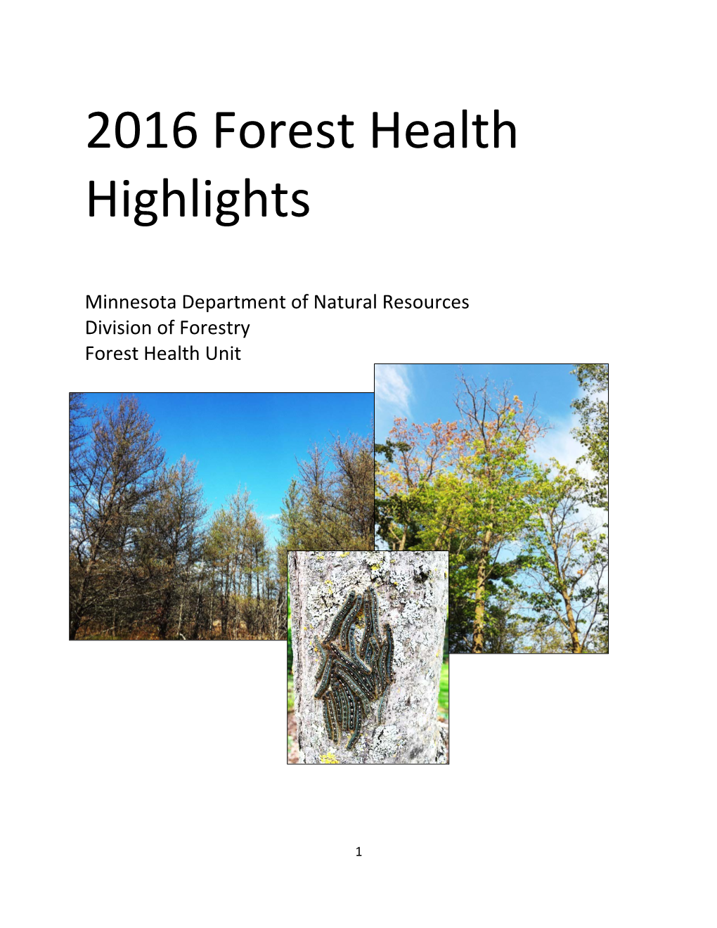 Minnesota 2016 Forest Health Highlights