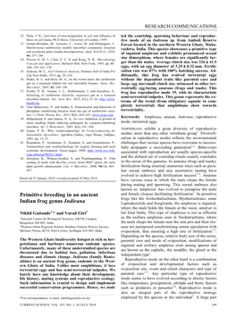 Primitive Breeding in an Ancient Indian Frog Genus Indirana