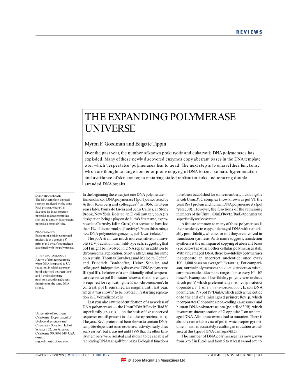 The Expanding Polymerase Universe