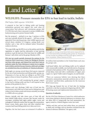 WILDLIFE: Pressure Mounts for EPA to Ban Lead in Tackle, Bullets