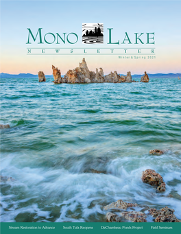 Winter & Spring 2021 Mono Lake Newsletter