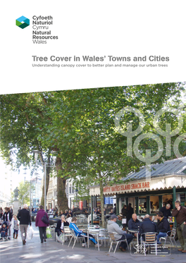 Tree Cover in Wales' Towns and Cities