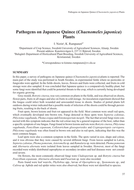 Pathogens on Japanese Quince (Chaenomeles Japonica) Plants