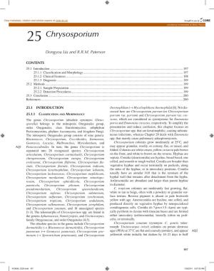25 Chrysosporium