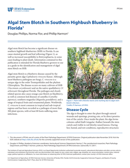 Algal Stem Blotch in Southern Highbush Blueberry in Florida1 Douglas Phillips, Norma Flor, and Phillip Harmon2