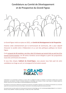 Candidature Au Comité De Développement Et De Prospective Du Grand-Figeac