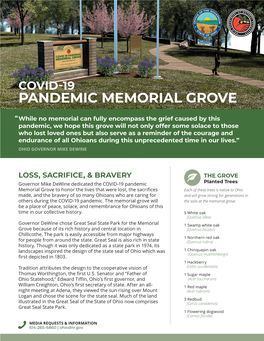 Covid-19 Pandemic Memorial Grove