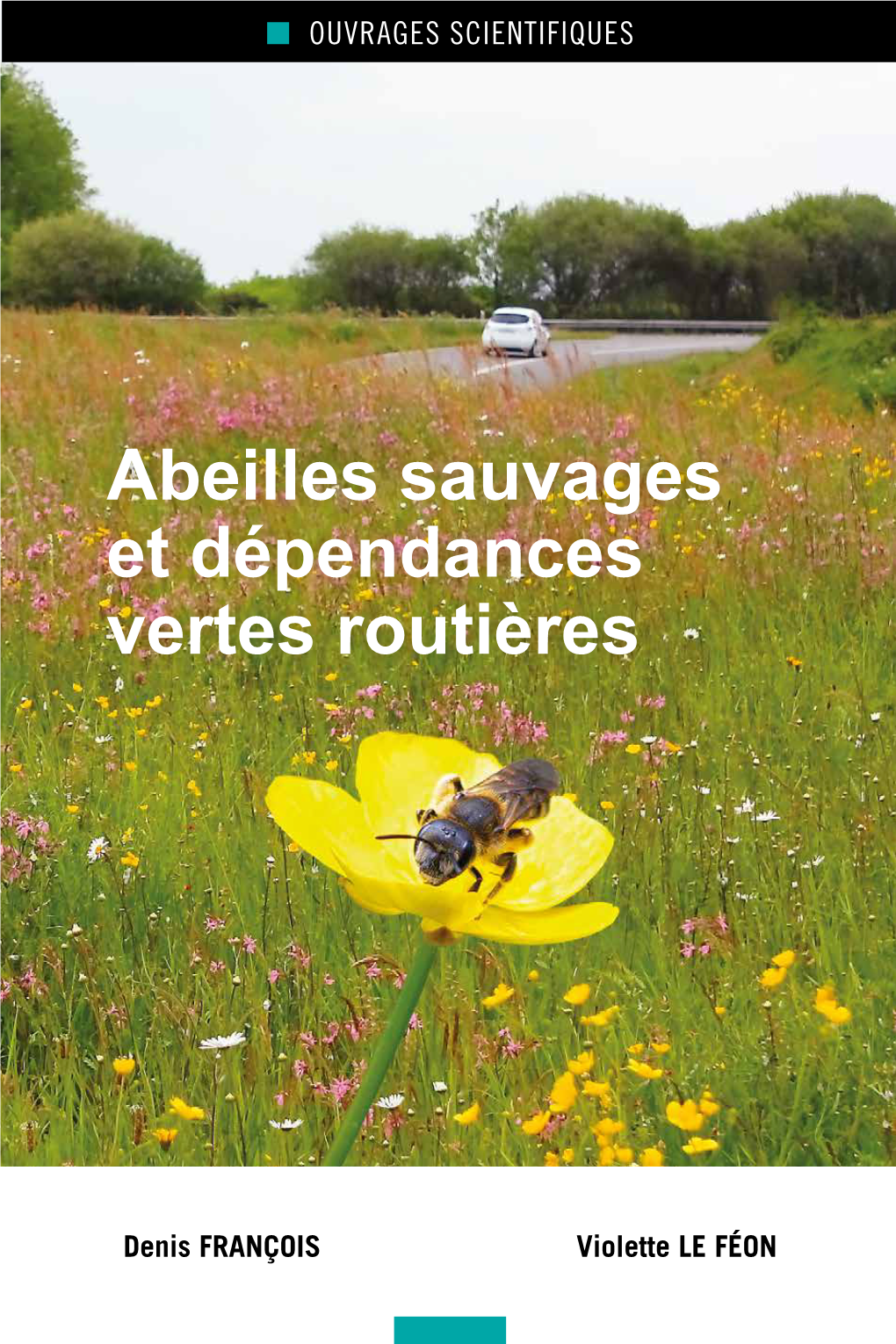 Abeilles Sauvages Et Dépendances Vertes Routières Abeilles Sauvages Et Dépendances Et Abeilles Vertes Sauvages Routiè