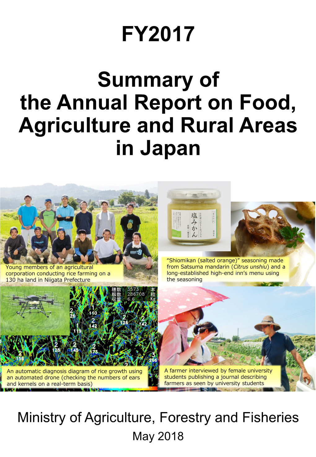 FY2017 Summary of the Annual Report on Food, Agriculture And