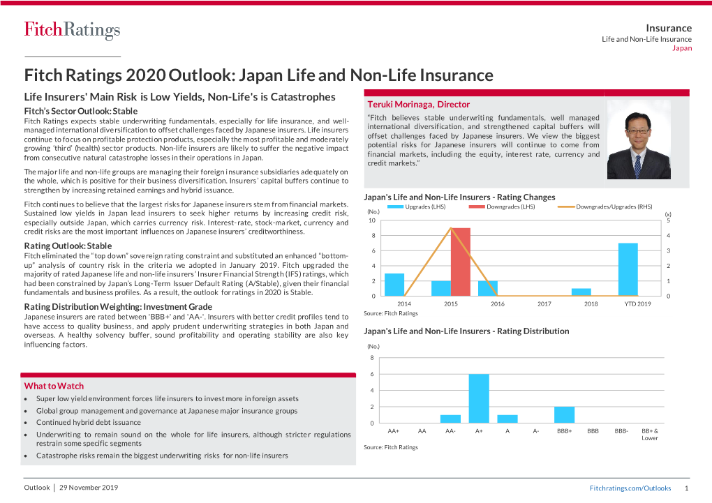 Japan Life and Non-Life Insurance