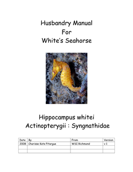 Husbandry Manual for White's Seahorse Hippocampus Whitei