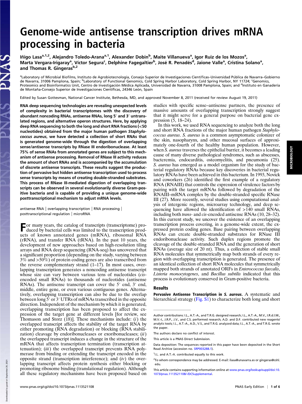 Genome-Wide Antisense Transcription Drives Mrna Processing in Bacteria