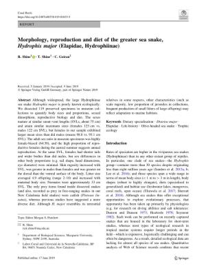 Morphology, Reproduction and Diet of the Greater Sea Snake, Hydrophis Major (Elapidae, Hydrophiinae)