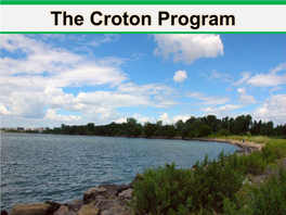 The Croton Program