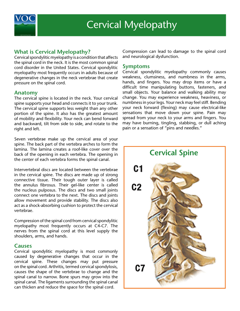 Cervical Myelopathy