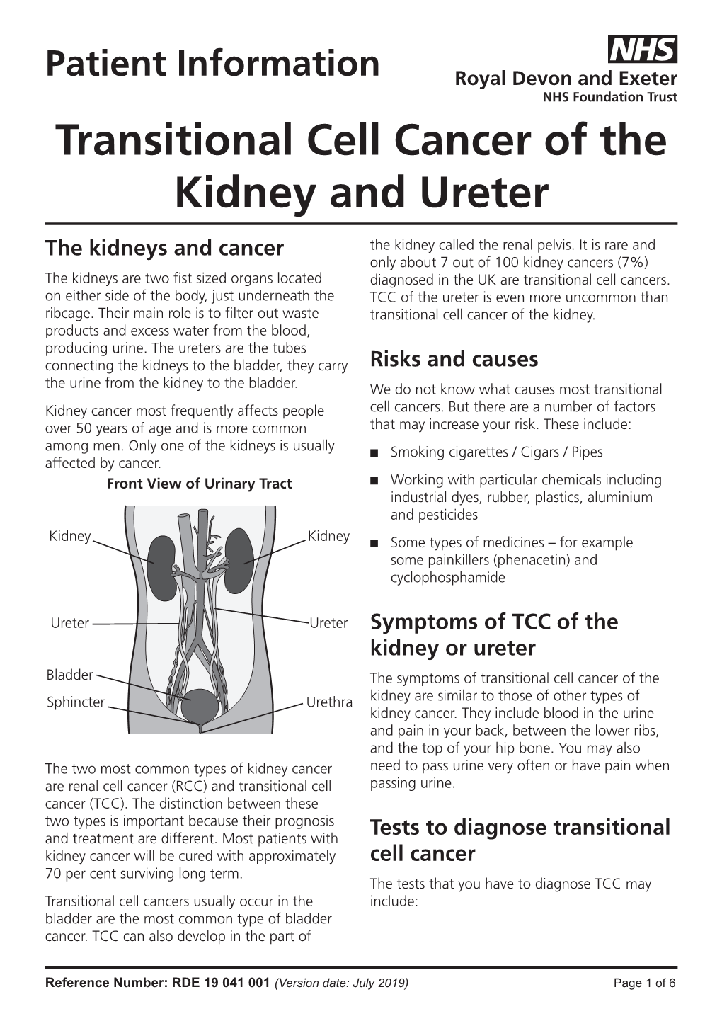 Transitional Cell Cancer of the Kidney and Ureter the Kidneys and Cancer the Kidney Called the Renal Pelvis