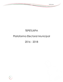 TEPETLIXPA Plataforma Electoral Municipal 2016