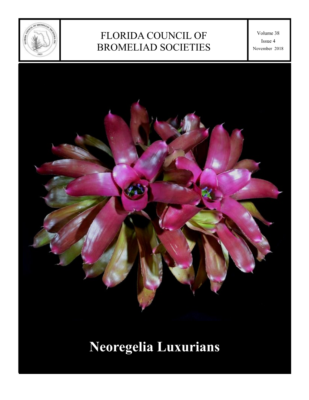 Neoregelia Luxurians FLORIDA COUNCIL of BROMELIAD SOCIETIES Page 2