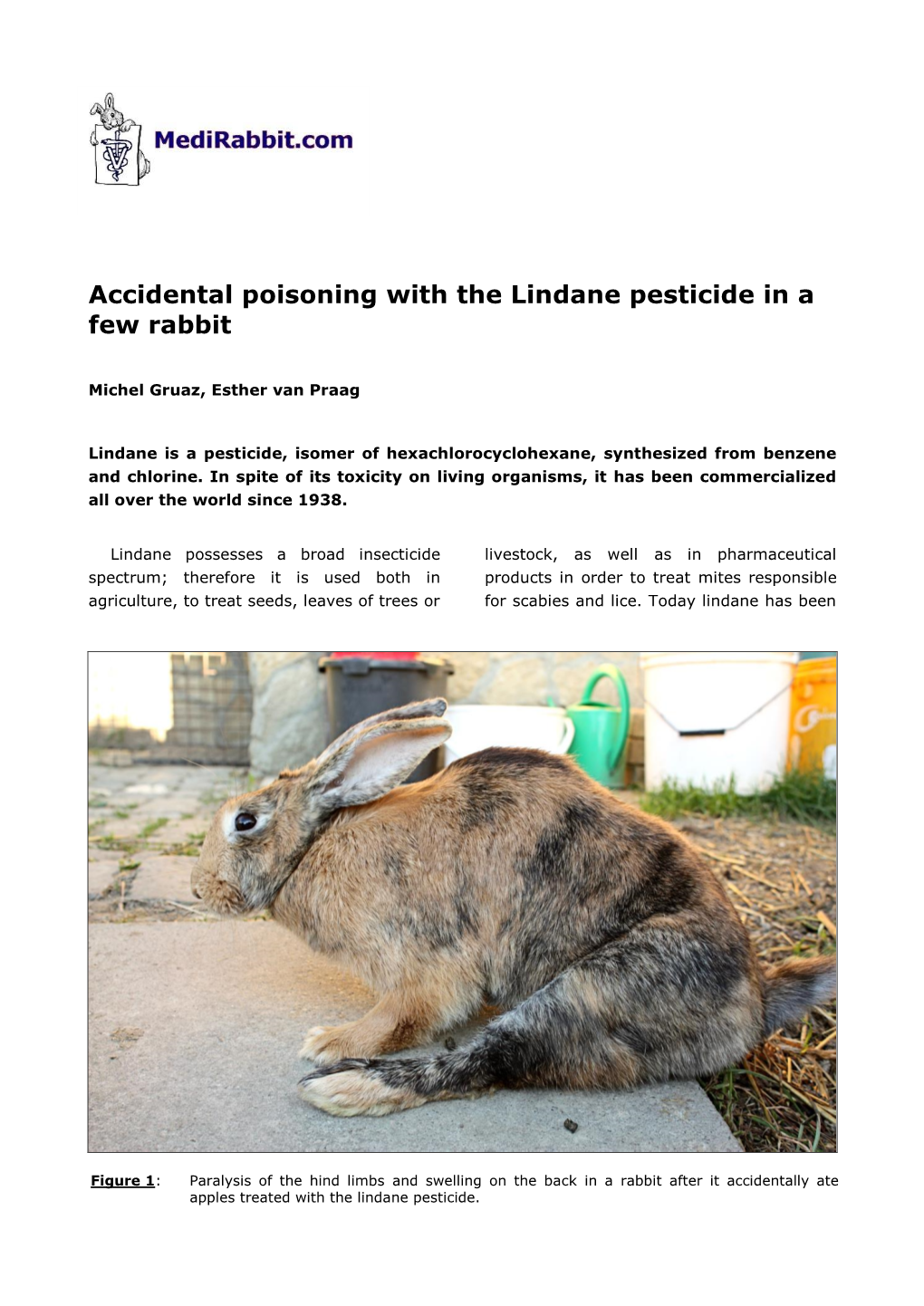 Accidental Poisoning with the Lindane Pesticide in a Few Rabbit