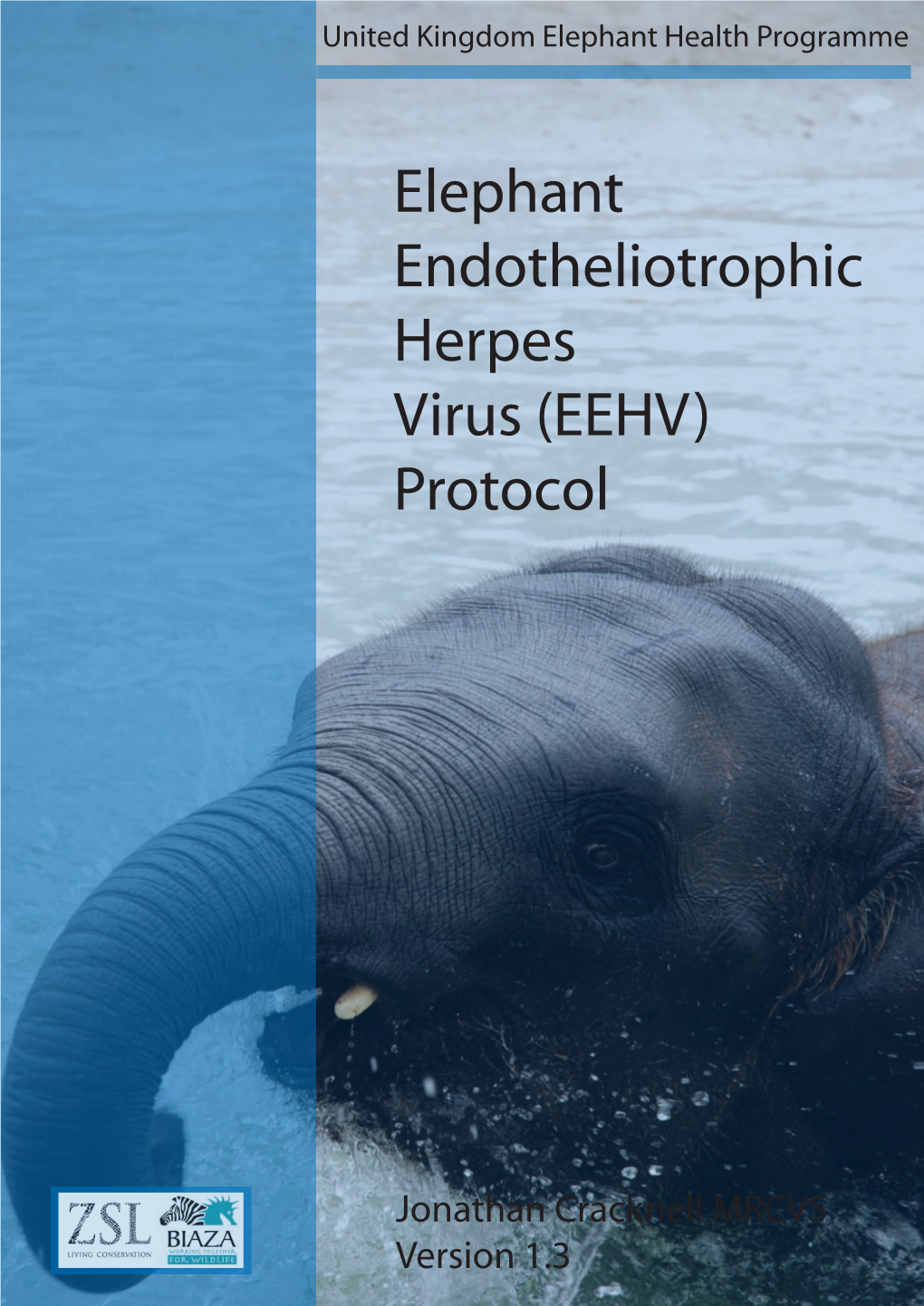 Elephant Endotheliotrophic Herpes Virus (EEHV) Protocol