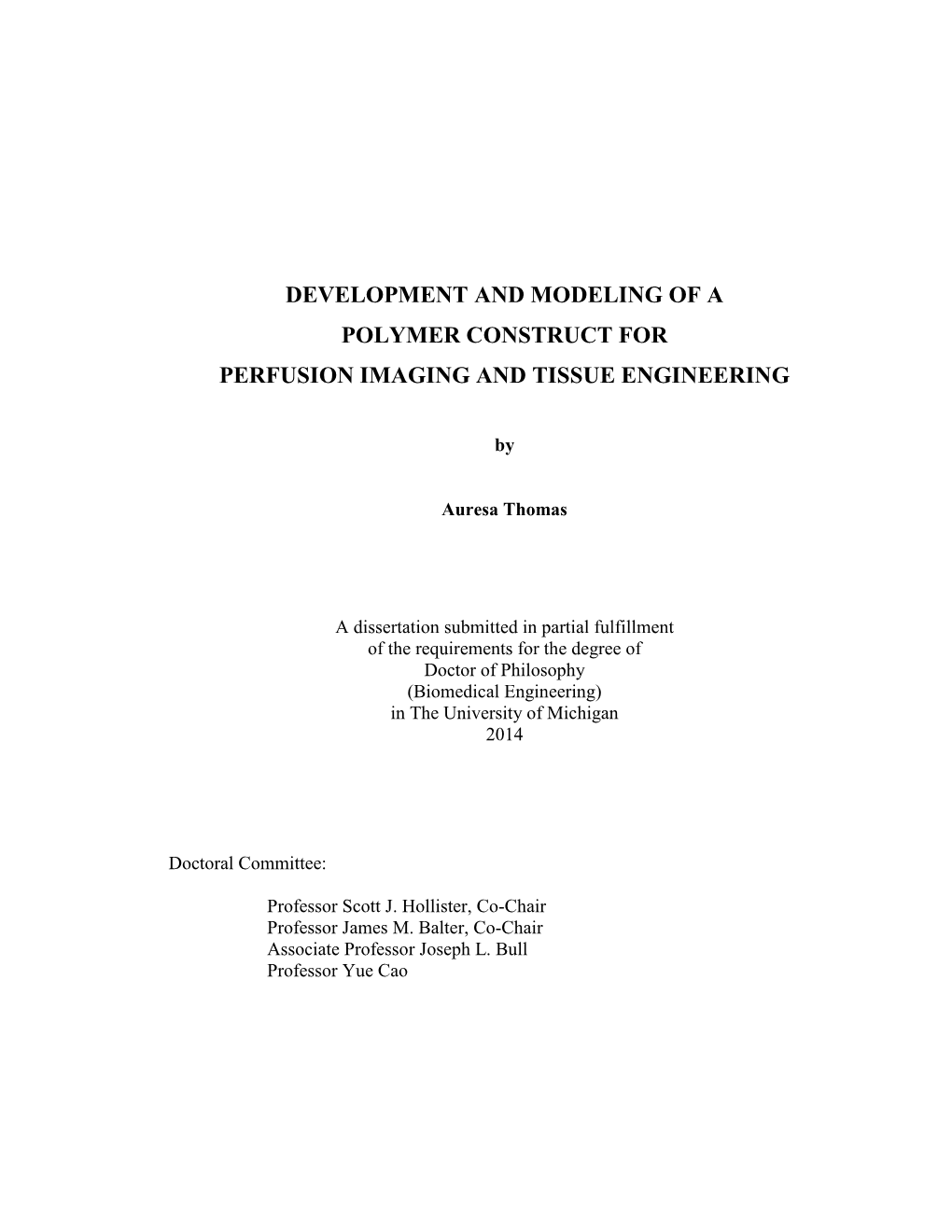 Development and Modeling of a Polymer Construct for Perfusion Imaging and Tissue Engineering