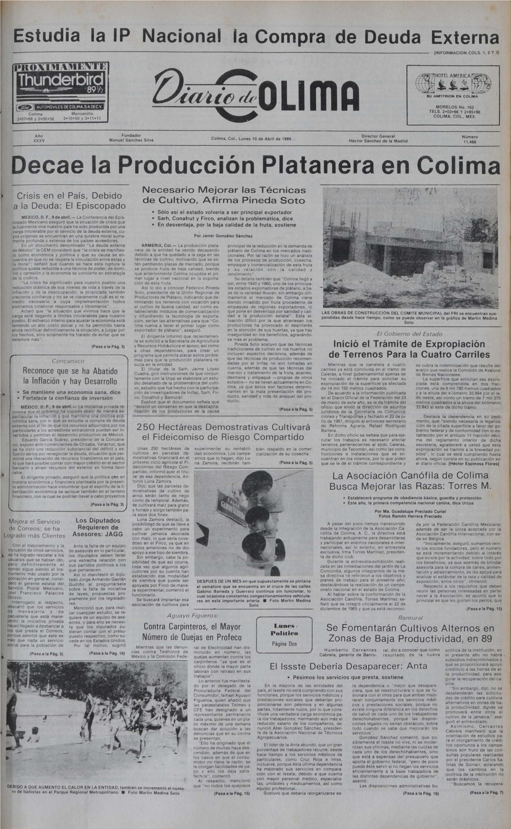 Decae La Producción Platanera En Colima