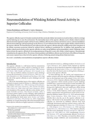 Neuromodulation of Whisking Related Neural Activity in Superior Colliculus