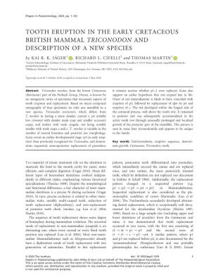 TOOTH ERUPTION in the EARLY CRETACEOUS BRITISH MAMMAL TRICONODON and DESCRIPTION of a NEW SPECIES by KAIR.K.JAGER€ 1 , RICHARD L