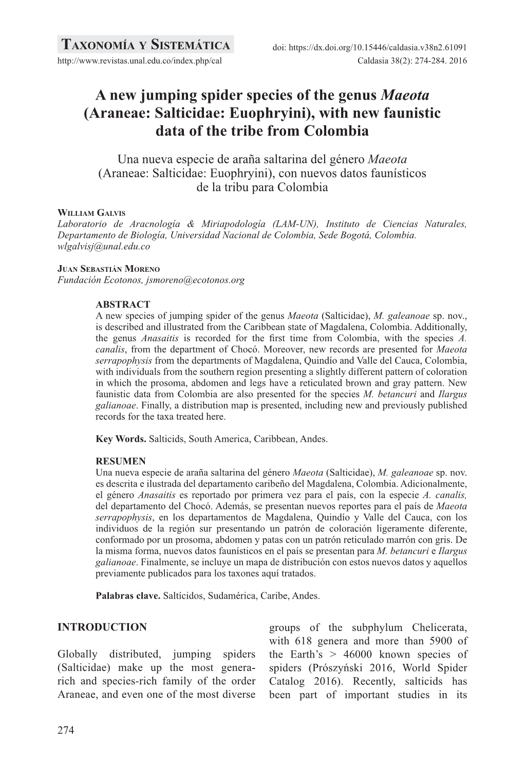 A New Jumping Spider Species of the Genus Maeota (Araneae: Salticidae: Euophryini), with New Faunistic Data of the Tribe from Colombia