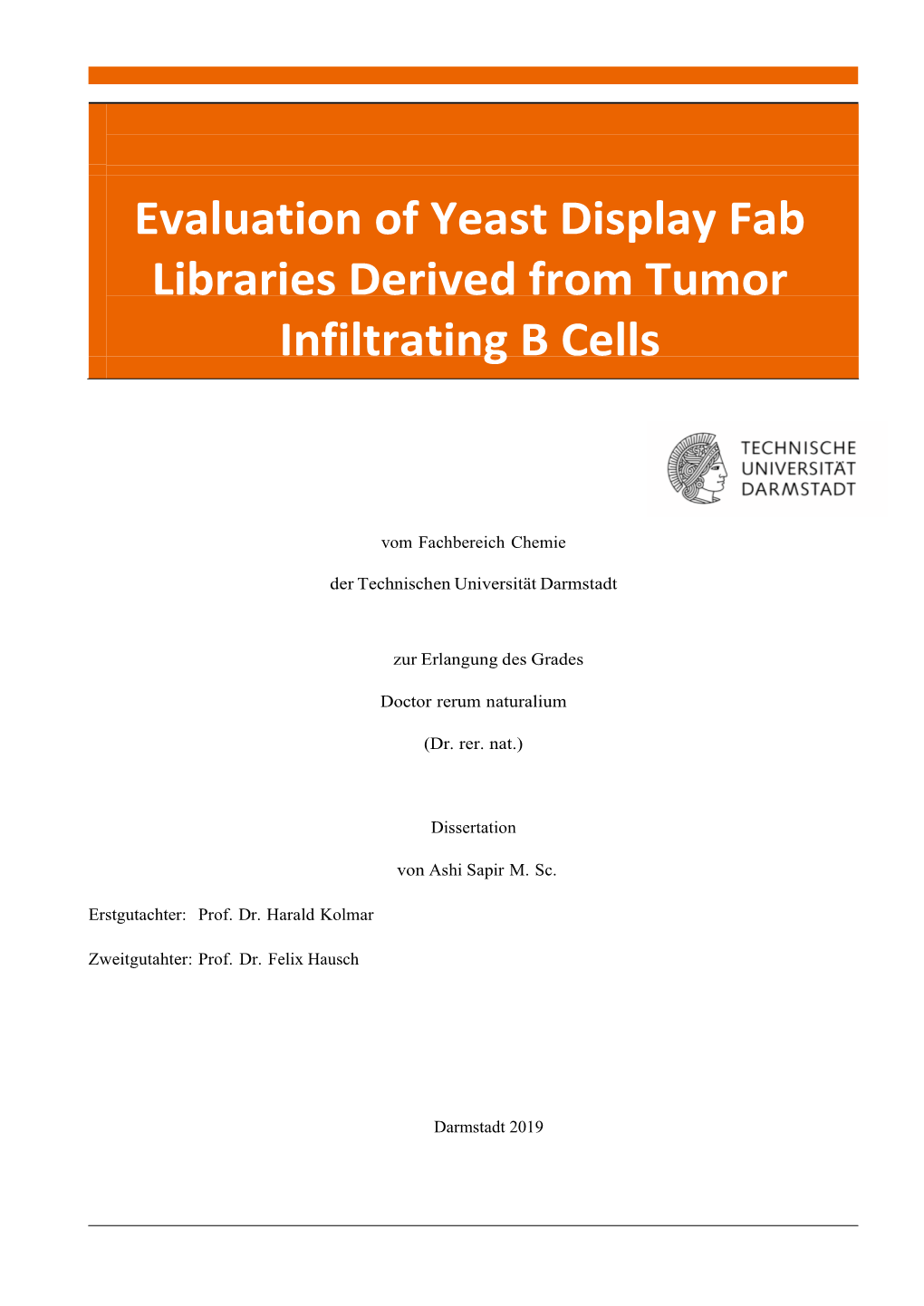 Evaluation of Yeast Display Fab Libraries Derived from Tumor