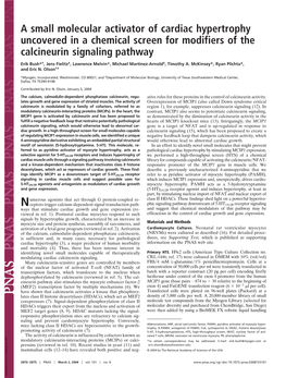 A Small Molecular Activator of Cardiac Hypertrophy Uncovered in a Chemical Screen for Modifiers of the Calcineurin Signaling Pathway