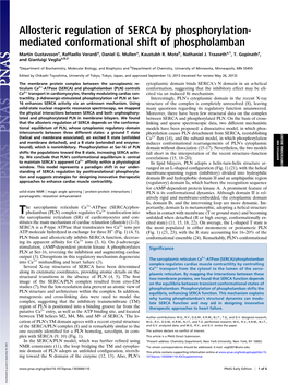 Allosteric Regulation of SERCA by Phosphorylation- Mediated Conformational Shift of Phospholamban