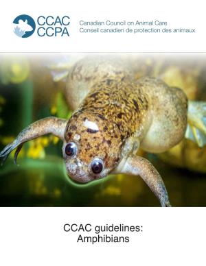 CCAC Guidelines: Amphibians Date of Publication: August 2021