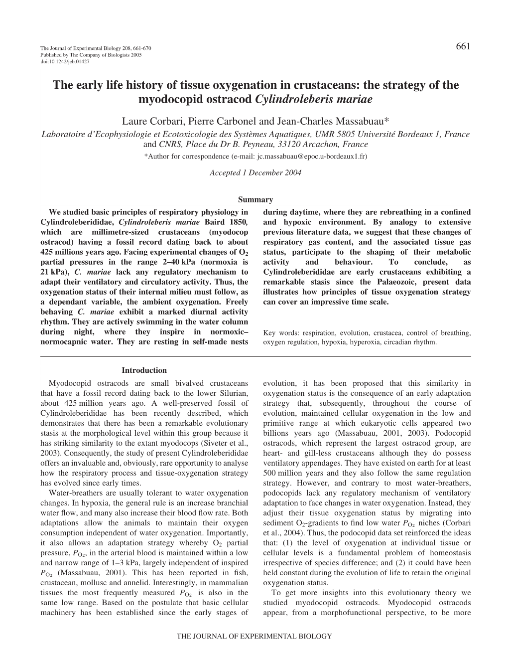 The Strategy of the Myodocopid Ostracod Cylindroleberis Mariae