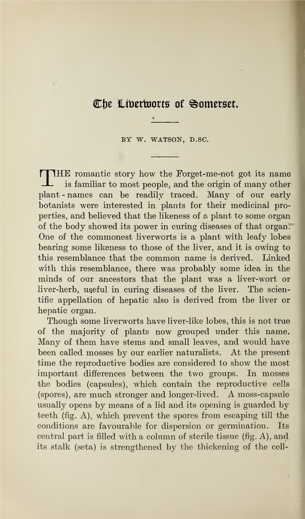 Watson, W, the Liverworts of Somerset, Part II, Volume 66