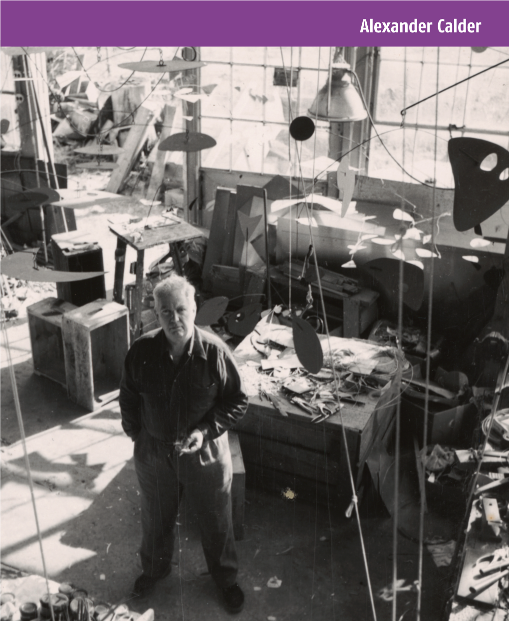 Alexander Calder a Playful Engineer