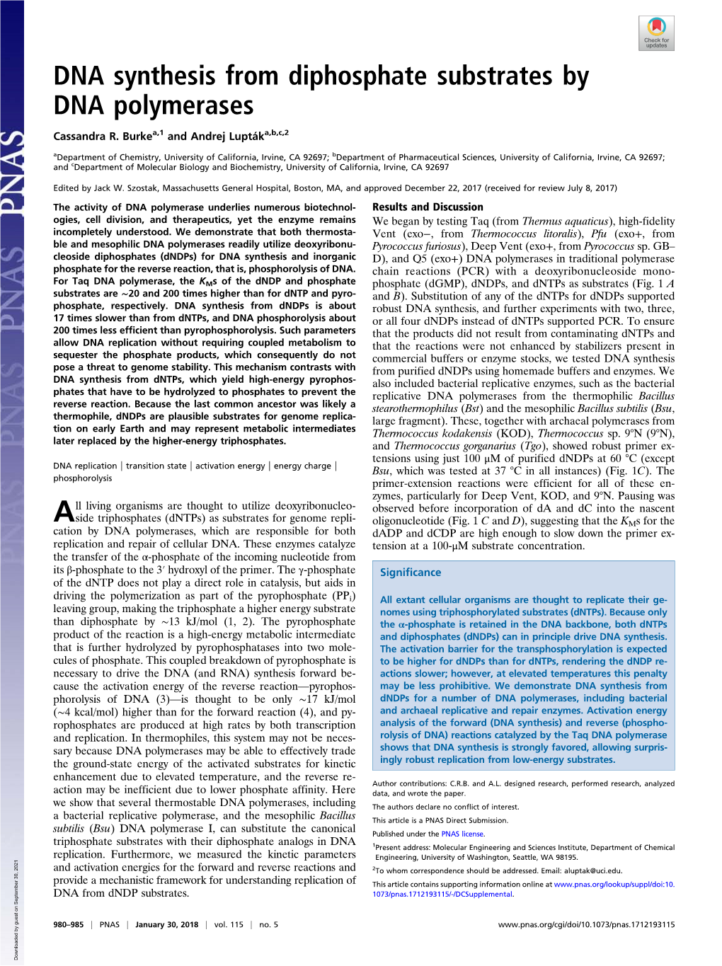 DNA Synthesis from Diphosphate Substrates by DNA Polymerases